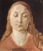 Albrecht Durer Portrait of a woman with Loose Hair oil painting on canvas